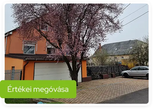 Favágás Miskolcon, értékei megóvásával? Akkor csak a Szokoly favágás csapata!