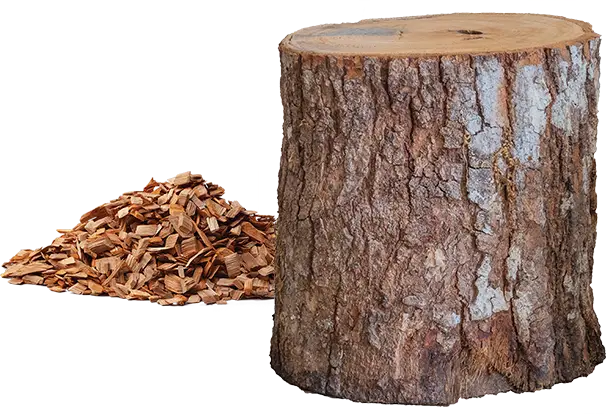 SzokolySpeciál - Favágás, Darázsirtás, Turkómarás Borsodban. SzokolySpeciál - Favágás, Darázsirtás, Turkómarás Borsodban.