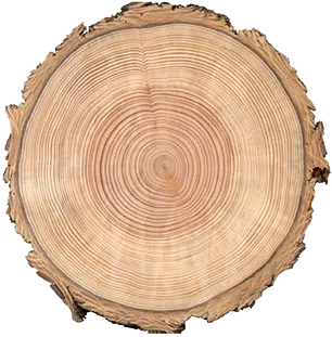 SzokolySpeciál - Favágás, Darázsirtás, Turkómarás Borsodban. SzokolySpeciál - Favágás, Darázsirtás, Turkómarás Borsodban.