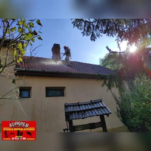 SzokolySpeciál - Favágás, Darázsirtás, Turkómarás Borsodban.