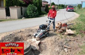 SzokolySpeciál - Favágás, Darázsirtás, Turkómarás Borsodban.