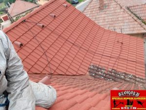 SzokolySpeciál - Favágás, Darázsirtás, Turkómarás Borsodban.