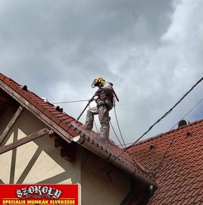 SzokolySpeciál - Favágás, Darázsirtás, Turkómarás Borsodban.