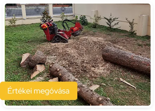 SzokolySpeciál - Favágás, Darázsirtás, Turkómarás Borsodban.