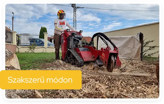 SzokolySpeciál - Favágás, Darázsirtás, Turkómarás Borsodban.