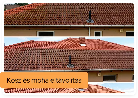 SzokolySpeciál - Favágás, Darázsirtás, Turkómarás Borsodban.