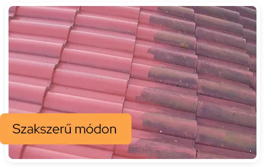SzokolySpeciál - Favágás, Darázsirtás, Turkómarás Borsodban.