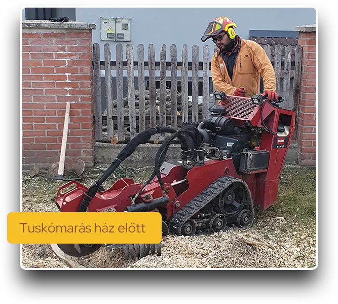SzokolySpeciál - Favágás, Darázsirtás, Turkómarás Borsodban. SzokolySpeciál - Favágás, Darázsirtás, Turkómarás Borsodban.