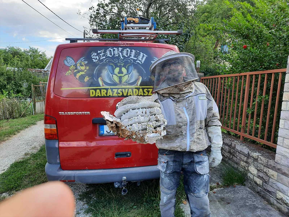 SzokolySpeciál - Favágás, Darázsirtás, Turkómarás Borsodban.