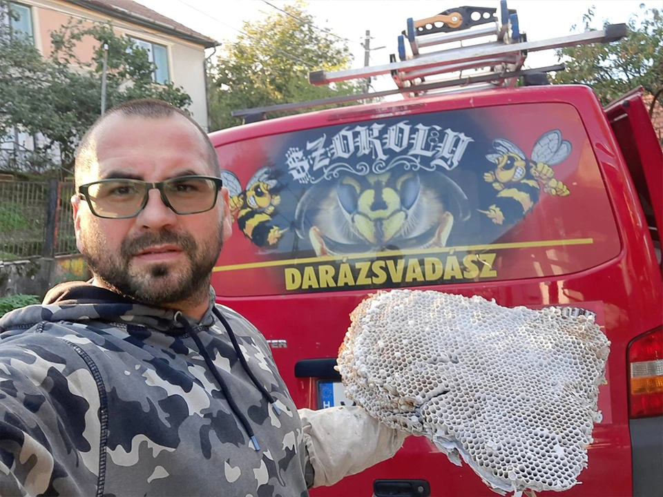 SzokolySpeciál - Favágás, Darázsirtás, Turkómarás Borsodban.