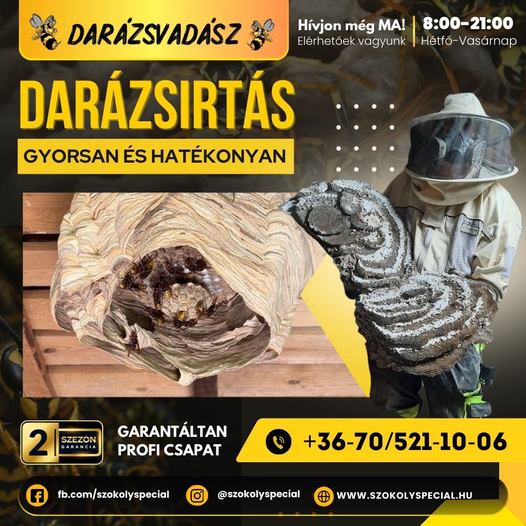 Darázsirtás gyorsan és hatékonyan - Darázsvadász Miskolc.