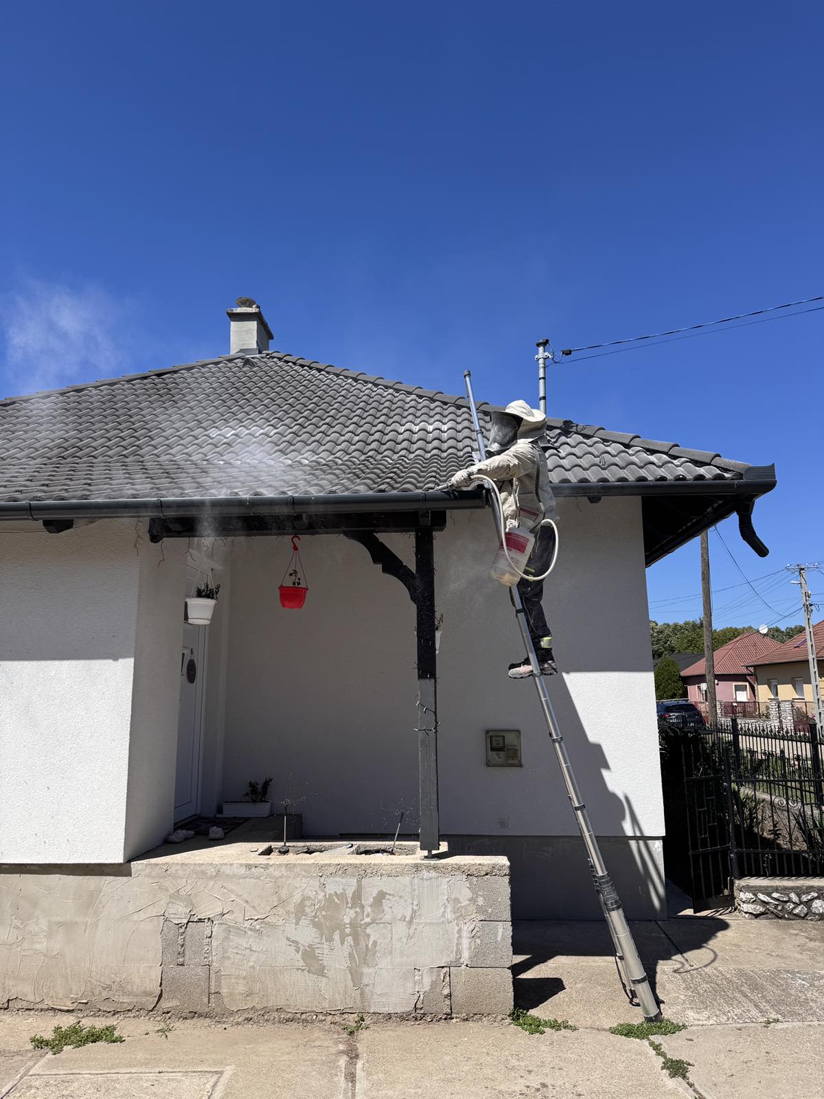 Teljes tetőszerkezet darázsirtása - Darázsvadász Miskolc.