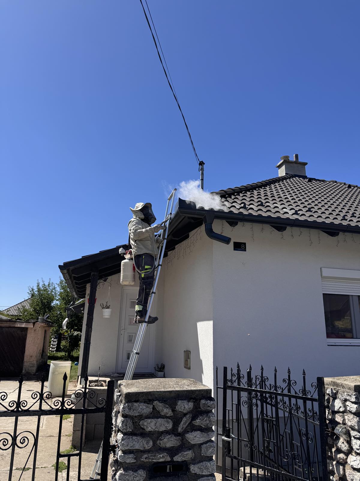 Darázsirtás Lillafüreden és környékén is! - Darázsvadász Miskolc.