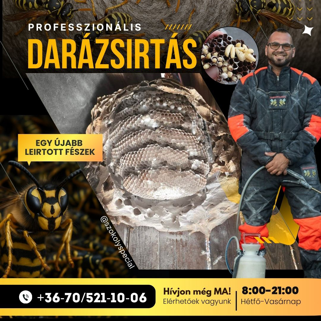 Ismét leirtottunk egy óriási darázsfészket. Garanciális darázsirtás, ez a darázsvadász.