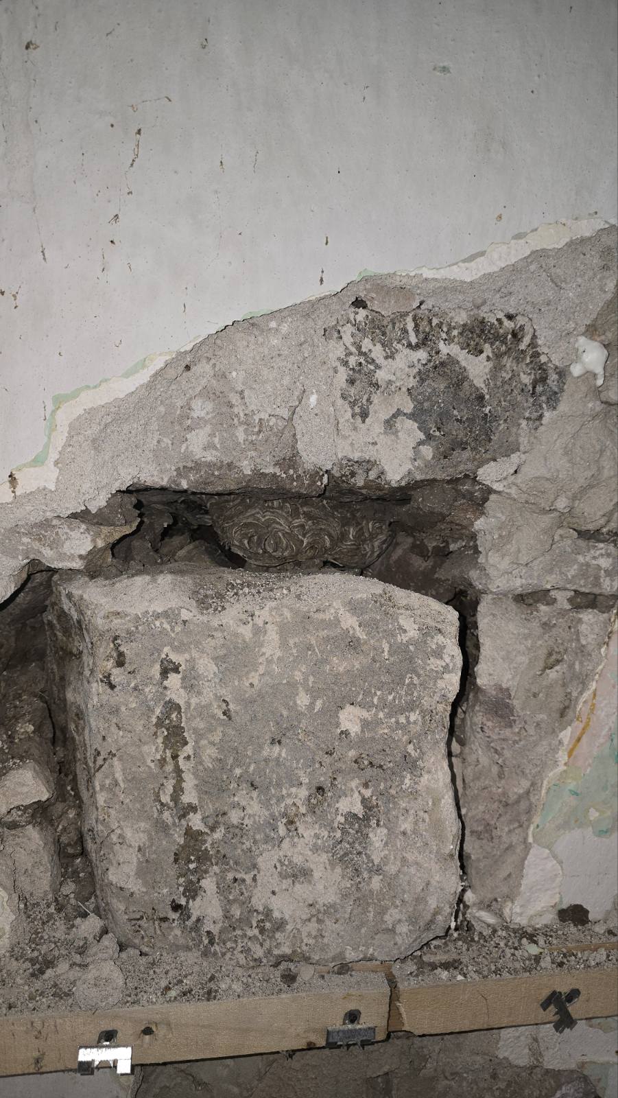 Teljes tetőszerkezet darázsirtása - Darázsvadász Miskolc.