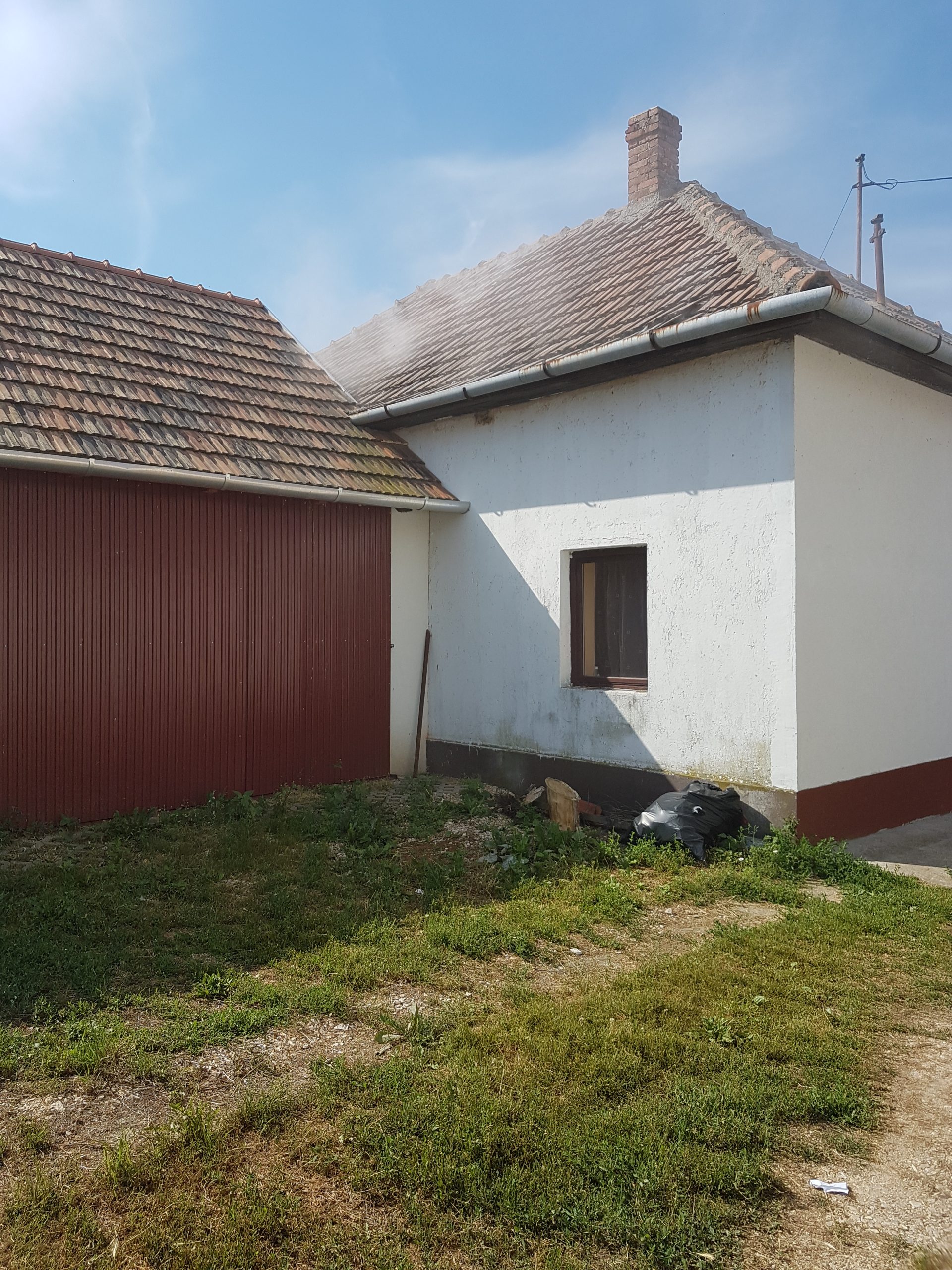 Darázsirtás Miskolc